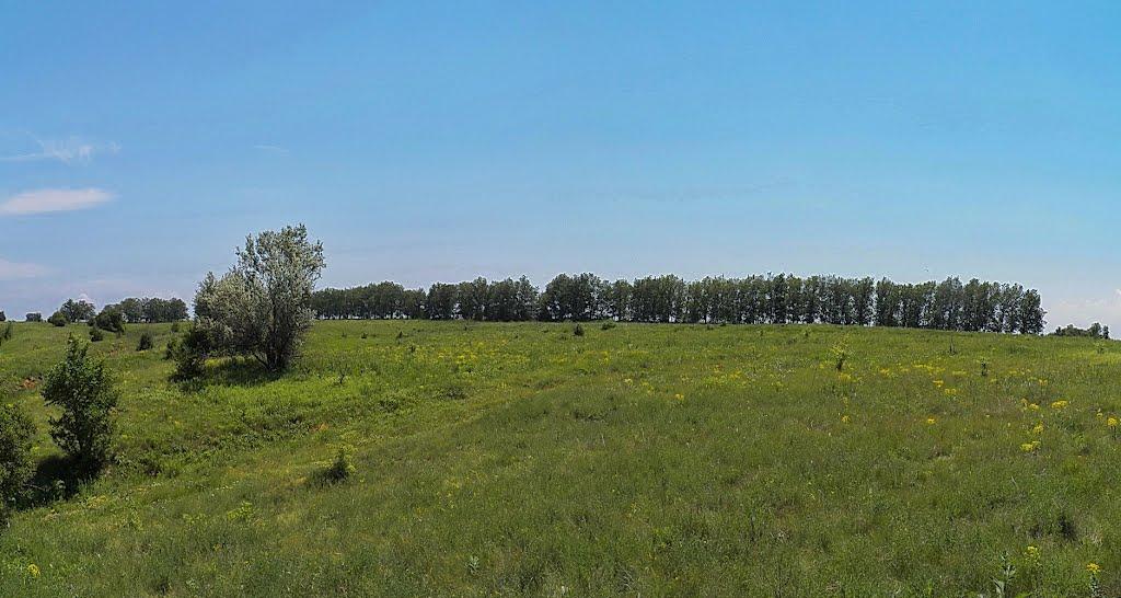 Булавинське з panoramio.com - Булавинське