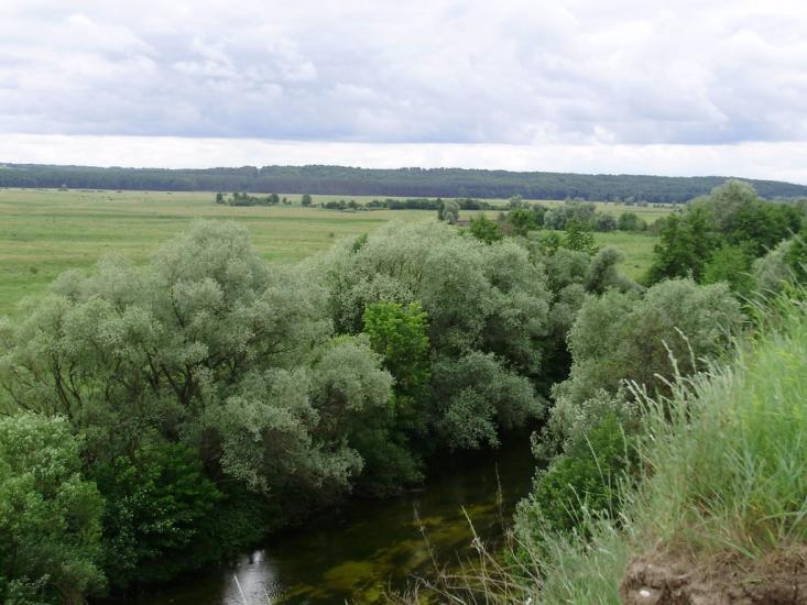 Могриця з panoramio.com - Могриця