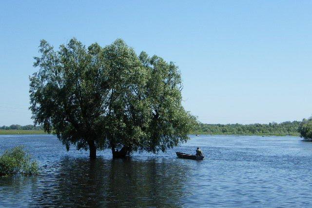 Макошине з panoramio.com - Макошино