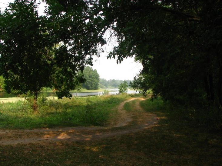 Чайки з panoramio.com - Чайки