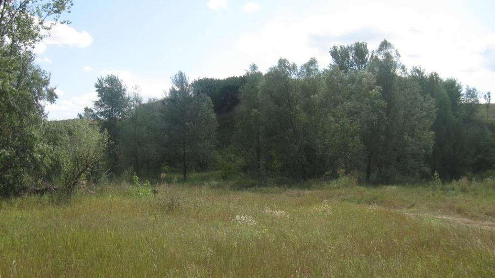 Свердловське з panoramio.com - Свердловське