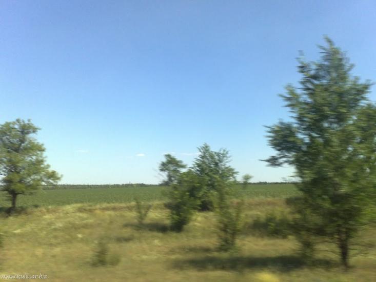 Василівка з panoramio.com - Василевка