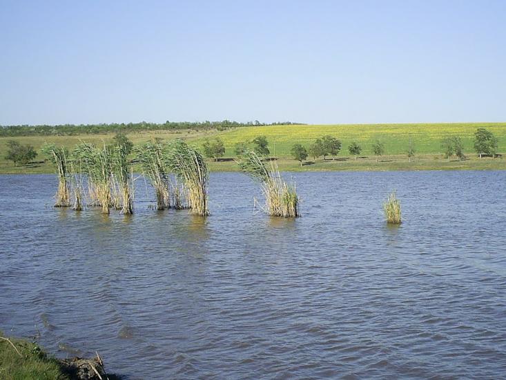 Руськоіванівка з panoramio.com - Руськоіванівка