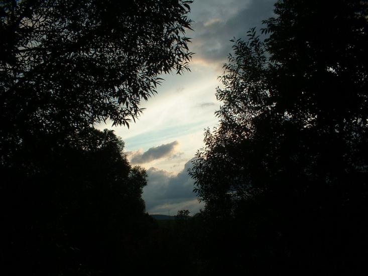 Мшанець з panoramio.com - Mshanets