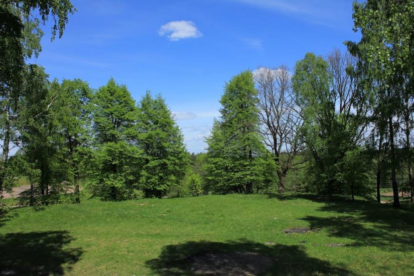 Олевськ з panoramio.com - Олевск