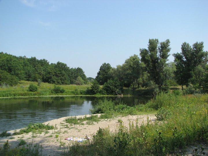 Бірки з panoramio.com - Борки