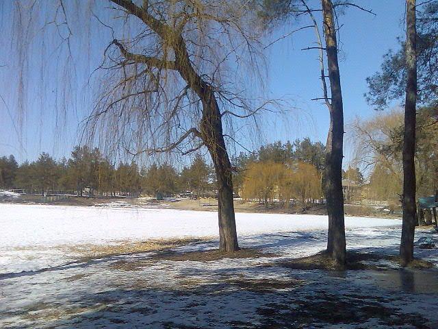 Красний Лиман з panoramio.com - Krasny Lyman