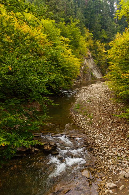 Чорноголова з panoramio.com - Черноголова