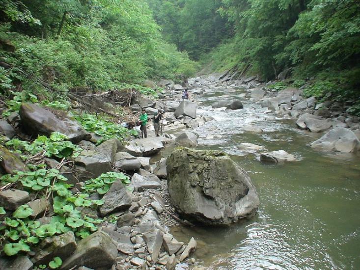 Буківцьово з panoramio.com - Буковцево