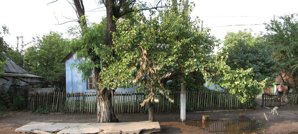 Арциз з panoramio.com - Artsyz