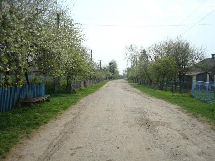 Дроздні з panoramio.com - Дроздні