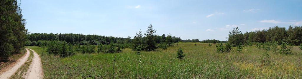 Таганка з panoramio.com - Таганка