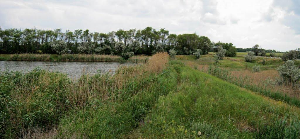 Зелене Поле з panoramio.com - Зелене Поле