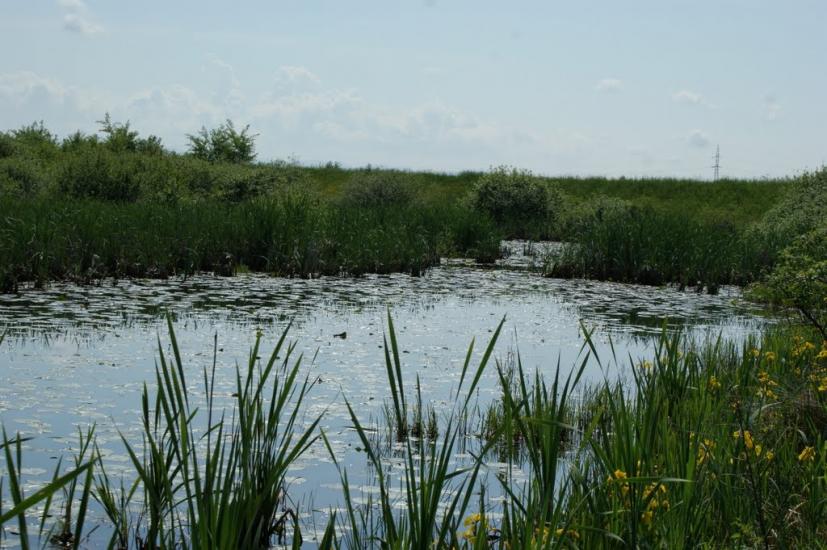 Оклі з panoramio.com - Оклі