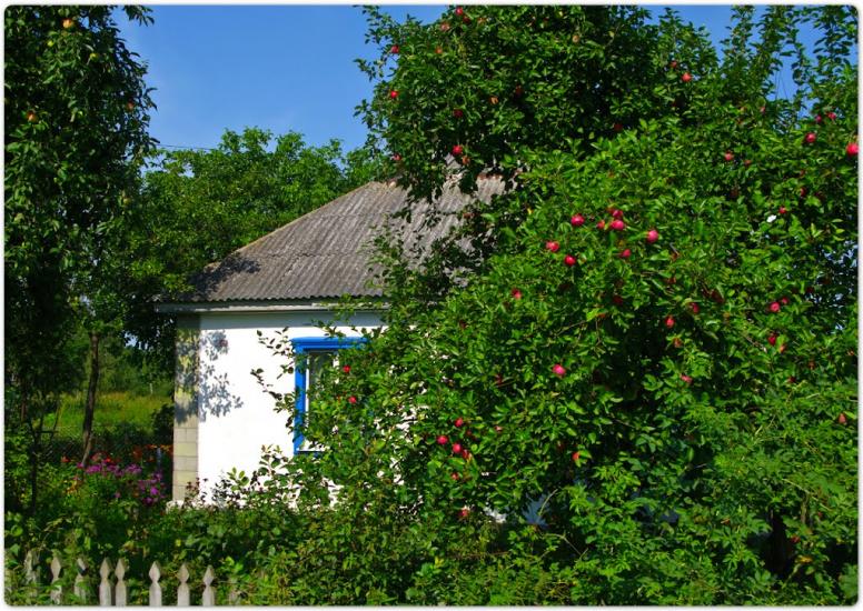 Тепениця з panoramio.com - Тепениця