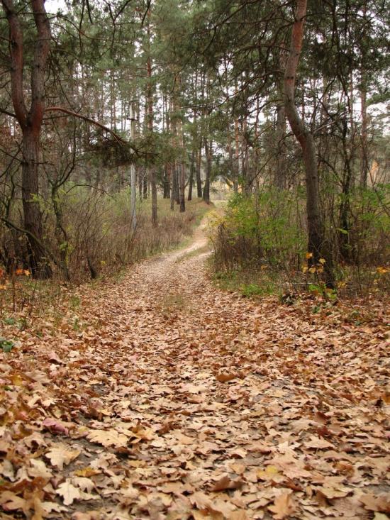 Гусина Поляна з panoramio.com - Гусина Поляна