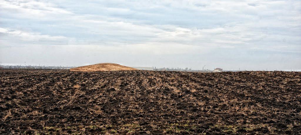 Нововасилівка з panoramio.com - Нововасилевка