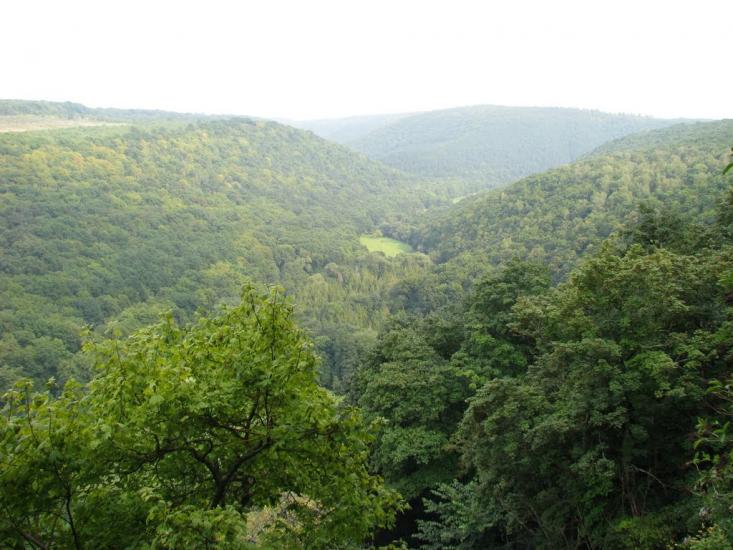 Нагоряни з panoramio.com - Нагоряны