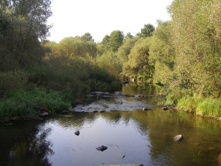 Нова Романівка з panoramio.com - Нова Романівка