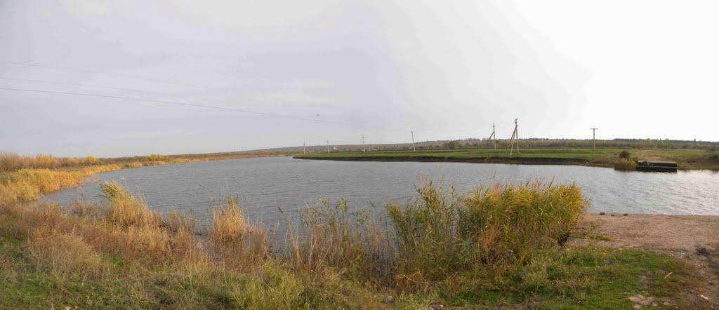 Василівка з panoramio.com - Васильевка