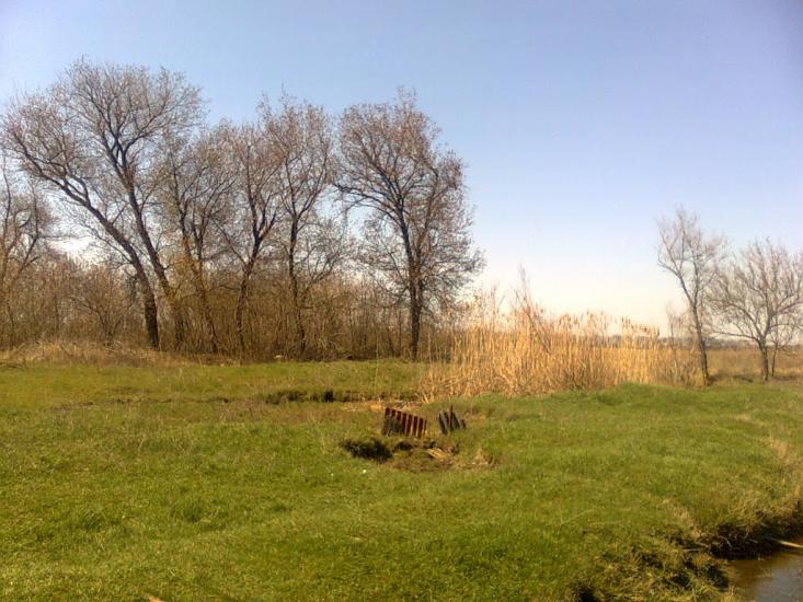 Приовражне з panoramio.com - Приовражне