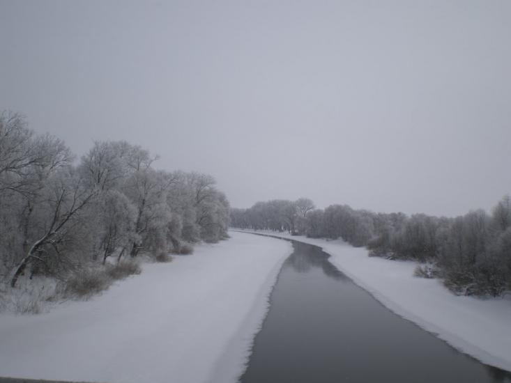 Селезнівка з panoramio.com - Селезневка