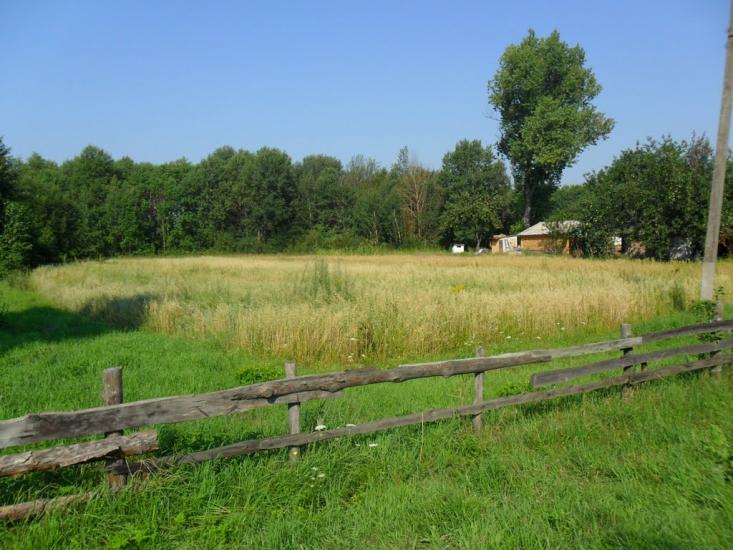 Зелениця з panoramio.com - Зелениця