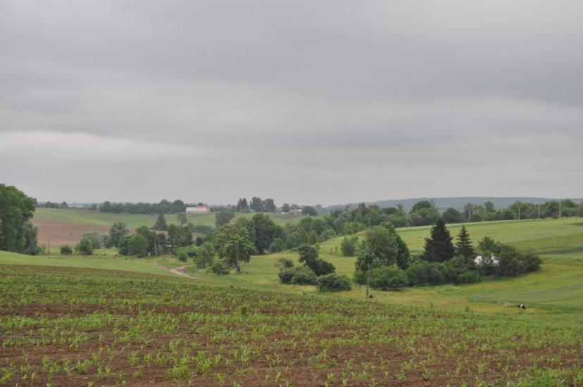 Заріцьк з panoramio.com - Zaritsk