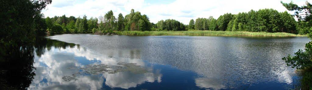 Стригани з panoramio.com - Стриганы