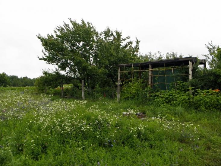 Мачухи з panoramio.com - Мачухи