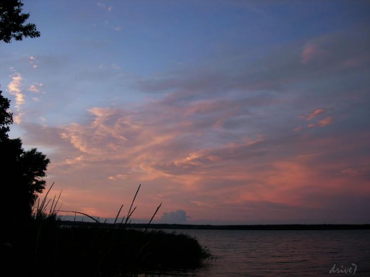 Зелений Гай з panoramio.com - Зеленый Гай