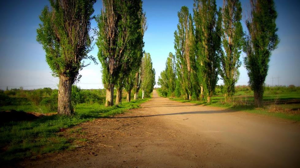 Аджамка з panoramio.com - Аджамка