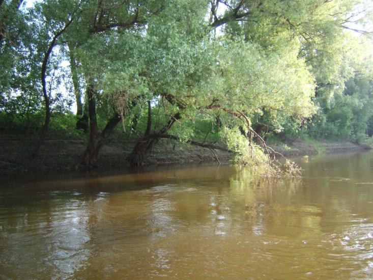 Макошине з panoramio.com - Макошино