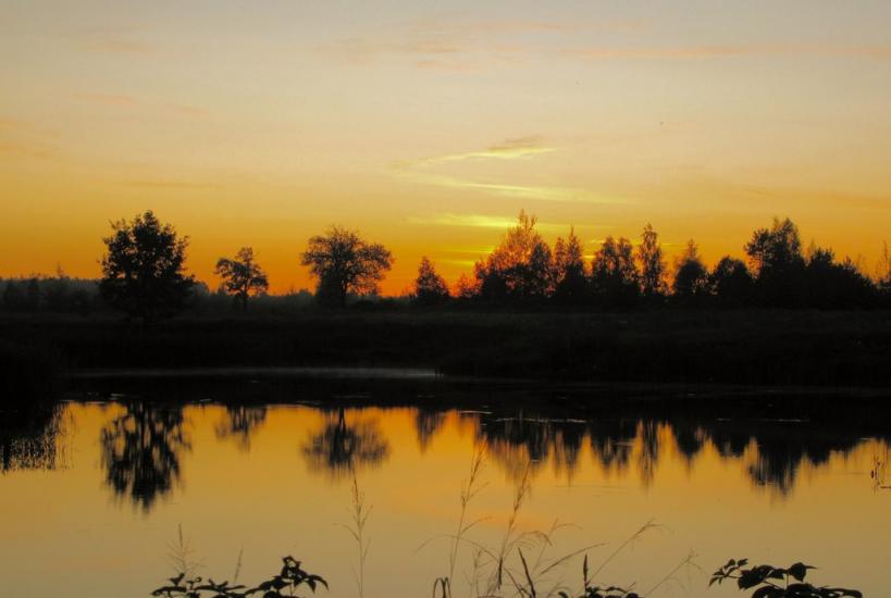 Тепениця з panoramio.com - Тепениця