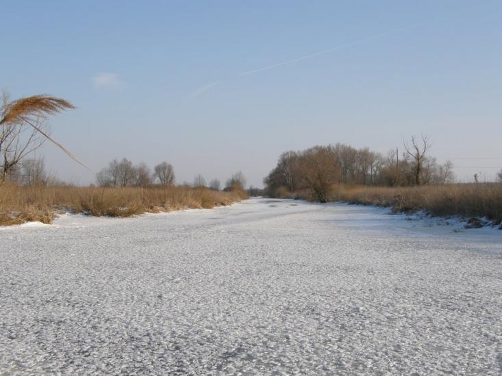 Оржиця з panoramio.com - Orzhytsya