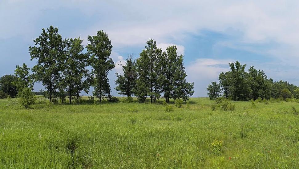 Булавинське з panoramio.com - Булавинское