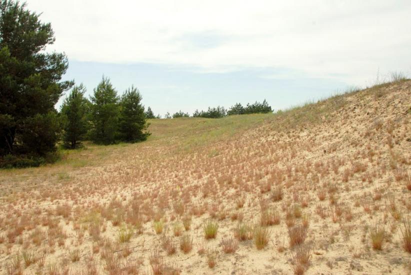 Саги з panoramio.com - Саги