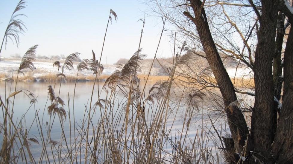 Весела Роща з panoramio.com - Весела Роща