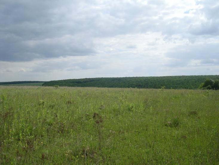 Мала Стружка з panoramio.com - Мала Стружка