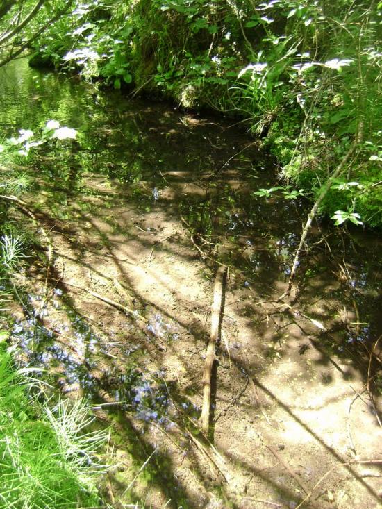 Красногірське з panoramio.com - Красногорское