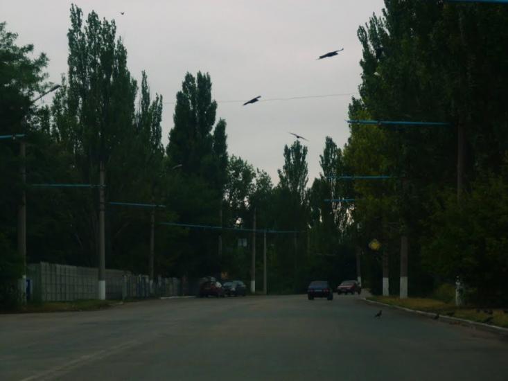 Добропілля з panoramio.com - Доброполье