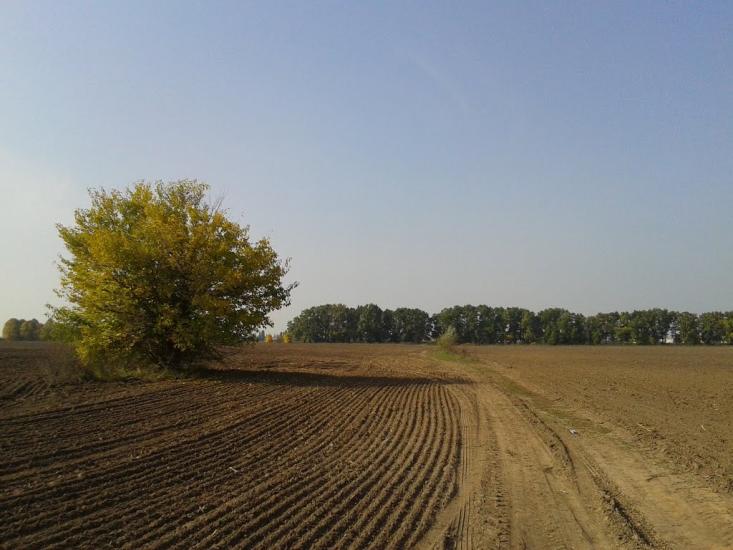 Гора з panoramio.com - Гора