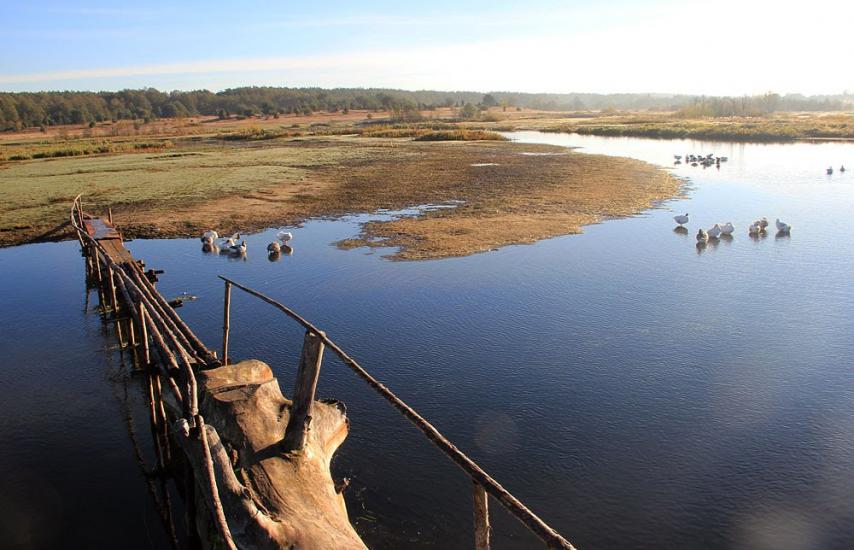 Угли з panoramio.com - Угли