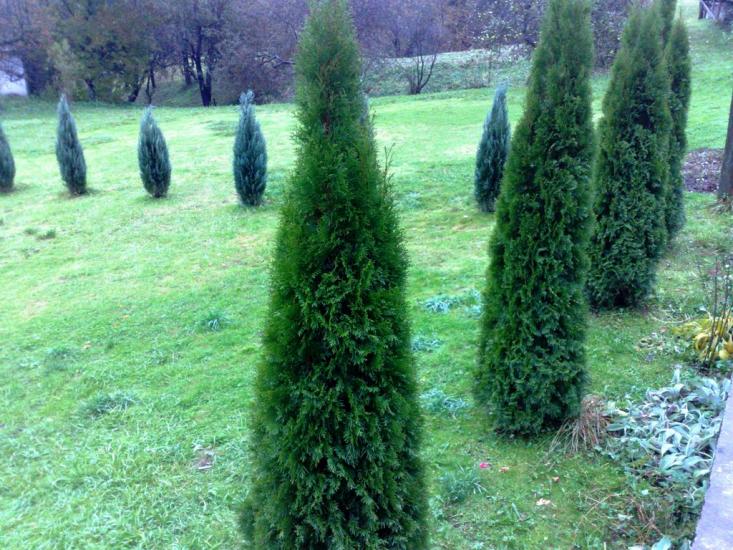 Водиця з panoramio.com - Водица