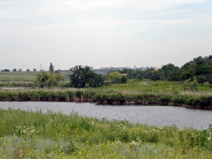 Жовте з panoramio.com - Жовте