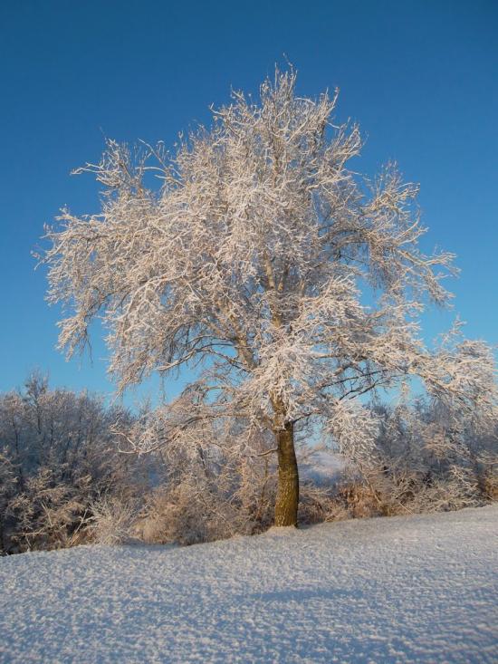 Захарівка з panoramio.com - Захарівка