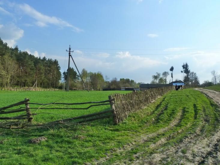 Бзовиця з panoramio.com - Бзовица