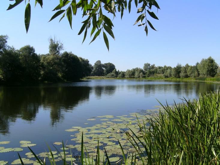 Чумакове з panoramio.com - Чумакове