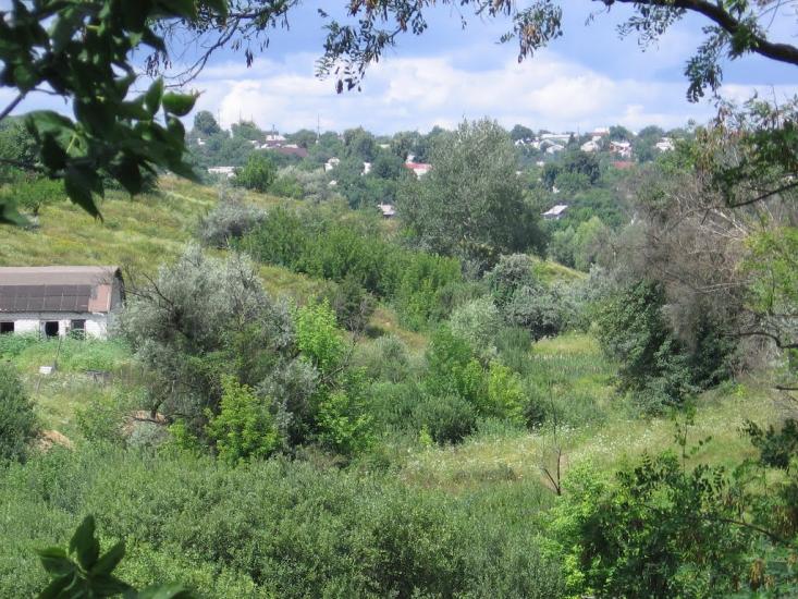 Покотилівка з panoramio.com - Покотилівка