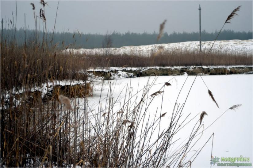 Маньківка з panoramio.com - Маньківка